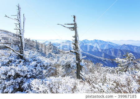 Deogyusan Deogyusan 39967185