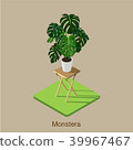 monstera isometric icon 3D 39967467