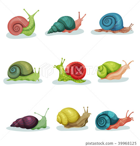 Collection of snails of different shell colours vector Illustrations isolated on a white background 39968125