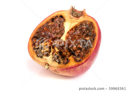 spoiled pomegranate isolated on white background closeup spoiled pomegranate isolated on white background closeup 39968361