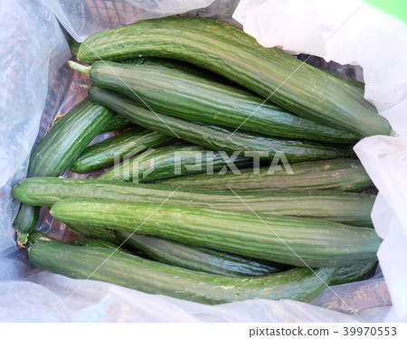 Green cucumbers in supermarket Green cucumbers in supermarket 39970553
