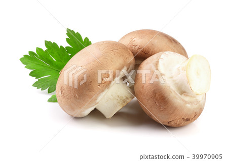 Royal Brown champignon with parsley leaf isolated on white background 39970905