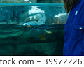 Penguin swimming and looking out at a person 39972226