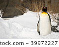 Penguin standing outside in the snow 39972227