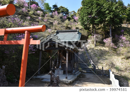 Atsushizaki Inari Shrine Sesshukan Observatory Amanohashidate Atsushizaki Inari Shrine Sesshukan Observatory Amanohashidate 39974581
