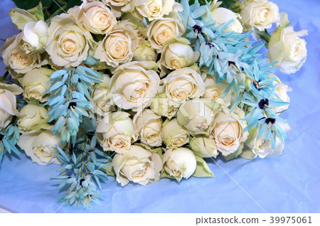 酷玫瑰（噴杏新古董） 39975061