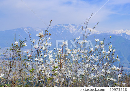 Tamushiba and Mt. 39975218