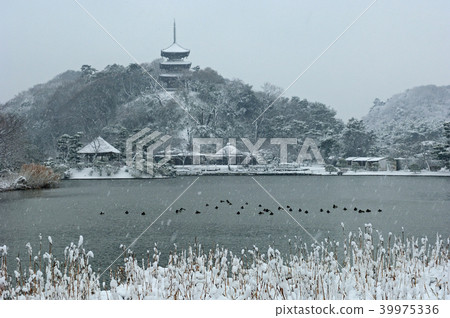 神奈川縣橫濱市Sanjoen Snow 神奈川縣橫濱市Sanjoen Snow 39975336