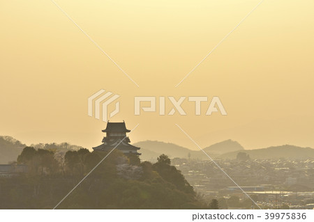 Inugami Castle Japan Inuyama Castle of Sunset 39975836
