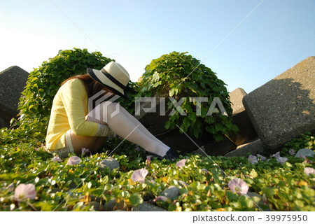 "Hyogo Prefecture" "Hyogo Prefecture" 39975950