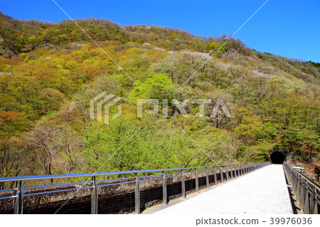 Usui Pass Glass Bridge of the New Green 39976036