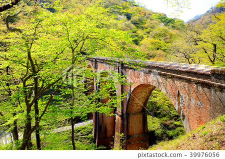 Usui Pass Glass Bridge of the New Green 39976056