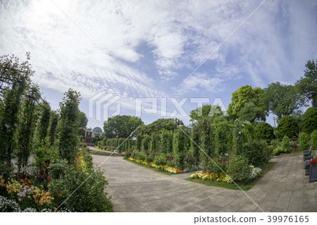橫濱步行小山公園風景以港口為目的 橫濱步行小山公園風景以港口為目的 39976165
