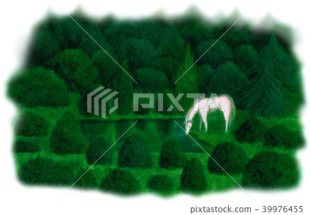 Forest and Hakuba 39976455