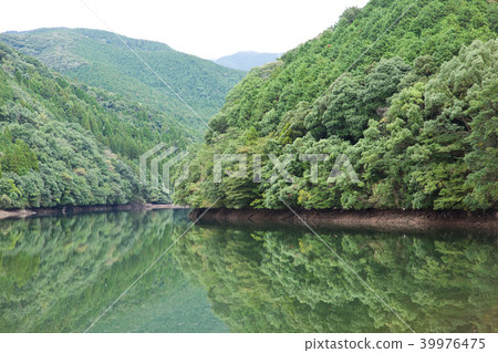 Toho池塘公園池塘 Toho池塘公園池塘 39976475