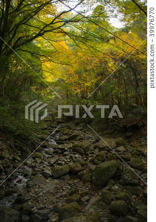 Scenery of mountain road in autumn and Inunsan Scenery of mountain road in autumn and Inunsan 39976770
