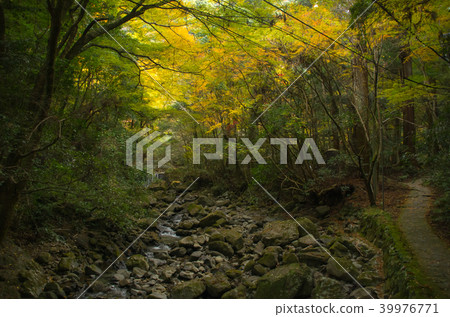 Scenery of mountain road in autumn and Inunsan Scenery of mountain road in autumn and Inunsan 39976771