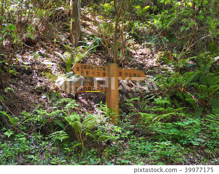 Higakizawa Forest Road Information Board Higakizawa Forest Road Information Board 39977175