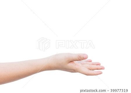 Empty woman hands isolated on white background 39977319