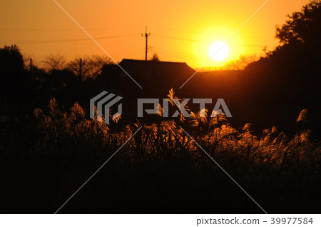 秋天的傍晚 秋天的傍晚 39977584
