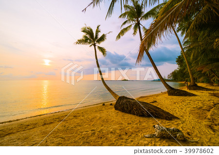 Beautiful paradise island with beach and sea around coconut palm tree Beautiful paradise island with beach and sea around coconut palm tree 39978602