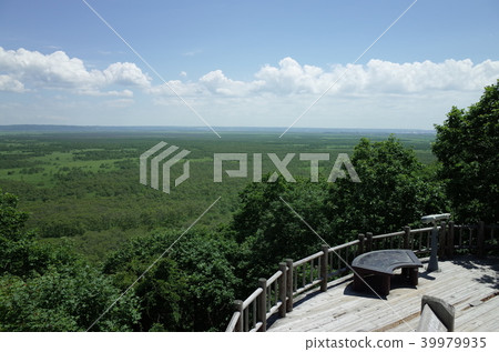 夏天的釧路濕地_北海道 39979935