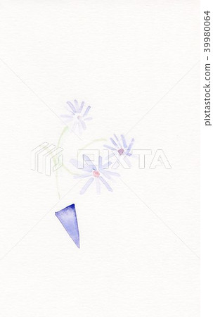 紫花 紫花 39980064