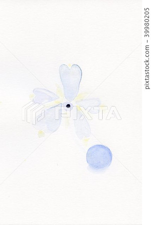 blue flower blue flower 39980205