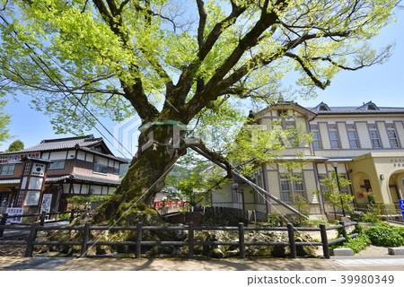 Konohashi Bridge Natural Monuments (Kashihara, Tamba City, Hyogo Prefecture) 39980349
