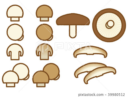 Mushroom _ brown line 39980512