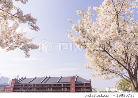 [Kanagawa Prefecture] Cherry Red Brick Warehouse 39980755