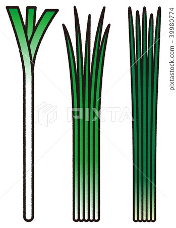 Green onions _ black line Green onions _ black line 39980774