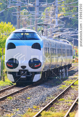 Panda Kuroshio No. JR 287 Panda face Express Train Kuroshio 84 Panda Kuroshio No. JR 287 Panda face Express Train Kuroshio 84 39981950