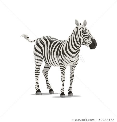 Zebra vector sketch exotic animal icon 39982372