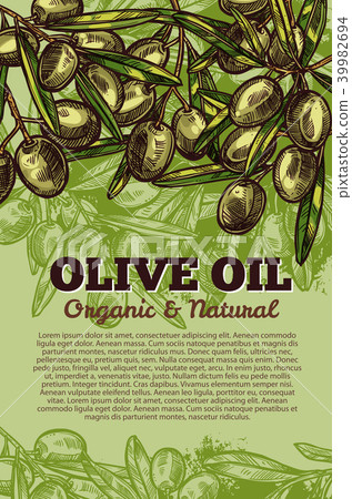 Vector olives bunch poster for olive oil Vector olives bunch poster for olive oil 39982694