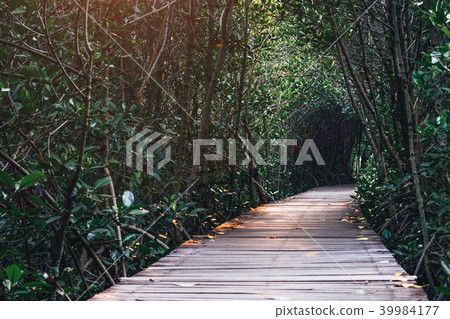 Wooden walk way with tree tunnel. 39984177