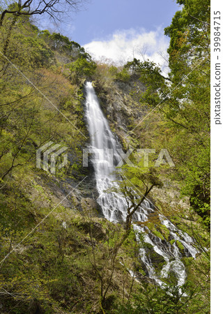 [Yobu City, Hyogo Prefecture] Ten-taki (100 best waterfalls in Japan) 39984715