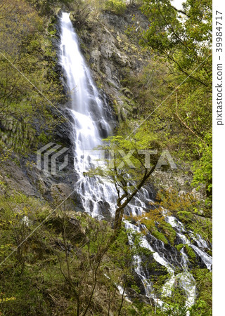 [Yobu City, Hyogo Prefecture] Ten-taki (100 best waterfalls in Japan) 39984717