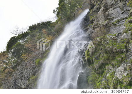 [Yobu City, Hyogo Prefecture] Ten-taki (100 best waterfalls in Japan) 39984737