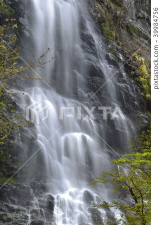 [兵庫縣與布市]十t（日本100個最佳瀑布） 39984756