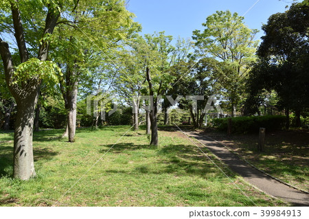 新鮮的綠色公園 新鮮的綠色公園 39984913