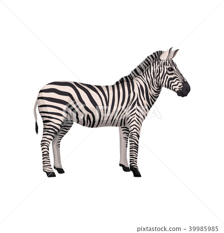 Zebra Wild African Animal Side View Vector Stock Illustration 39985985 Pixta