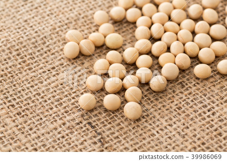 大豆 39986069