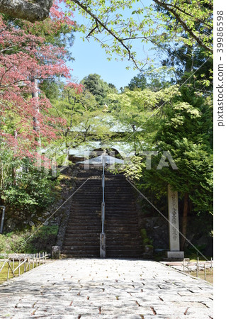 Matsuo-dera approach to the main hall West country 33rd place 29th note place 39986598