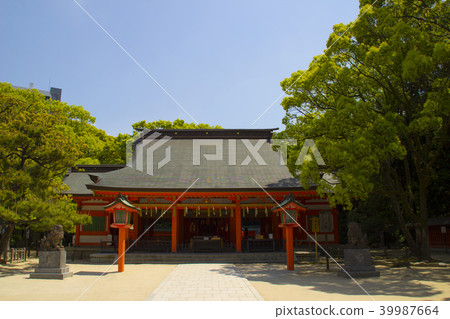 Chikuzen Kuni Ichinomiya Shrine Sumiyoshi Shrine / Fukuoka Prefecture Fukuoka City Hakata-ku Sumiyoshi 3-chome 39987664