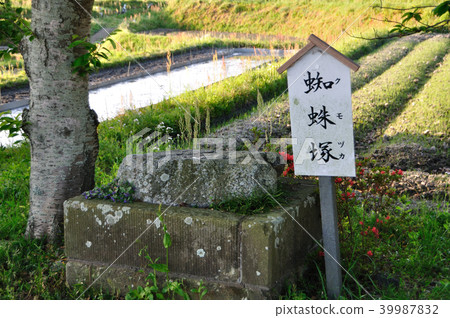 One word shrine 39987832