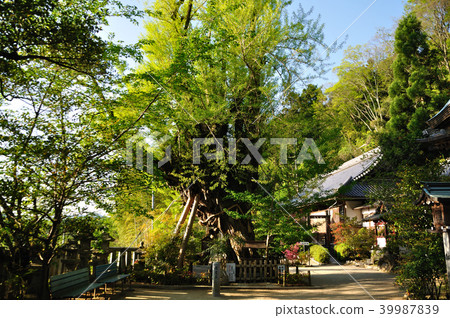 一個字神社 39987839