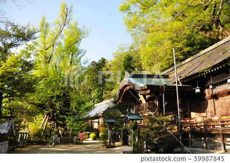 一個字神社 一個字神社 39987845