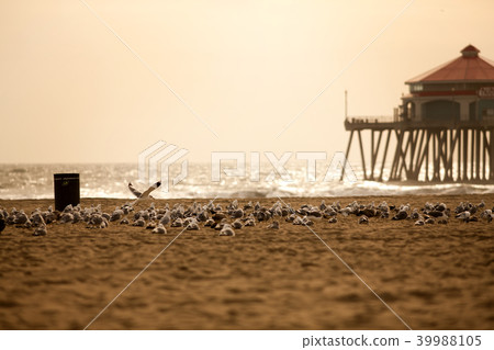 Huntington Beach, California Huntington Beach, California 39988105