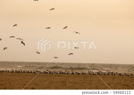 Huntington Beach, California 39988112